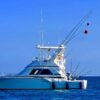Yatch Rides - Image 2