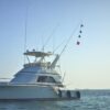 Yatch Rides